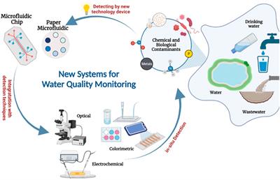 Simple microfluidic devices for in situ detection of water contamination: a state-of-art review